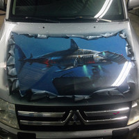 Аэрография,  Mitsubishi Pajero, питераэро, piteraero,